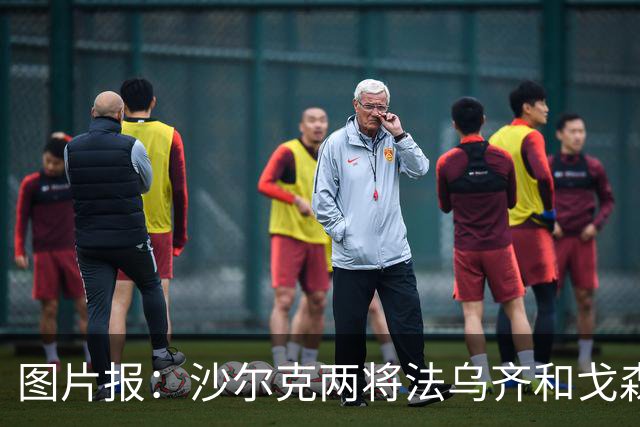 图片报：沙尔克两将法乌齐&戈森斯严重撞伤，将缺席杯赛