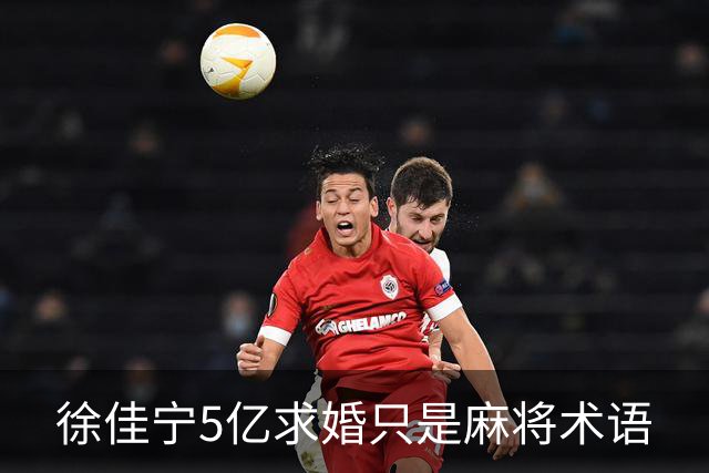徐佳宁5亿求婚只是麻将术语
