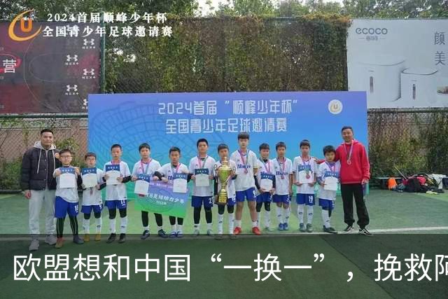欧盟想和中国“一换一”，挽救阿斯麦企业，方案中国未必会同意