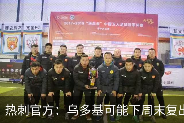 热刺官方：乌多基可能下周末复出，麦迪逊可战切尔西