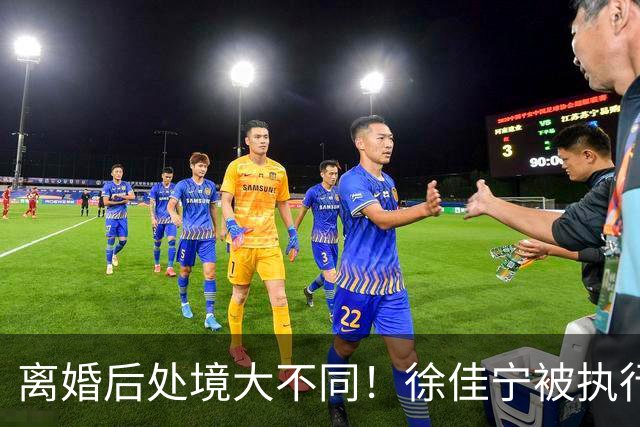 离婚后处境大不同！徐佳宁被执行标的2111万元，李小冉买豪宅名车