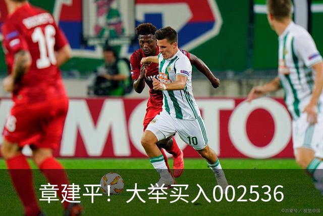 章建平！大举买入002536