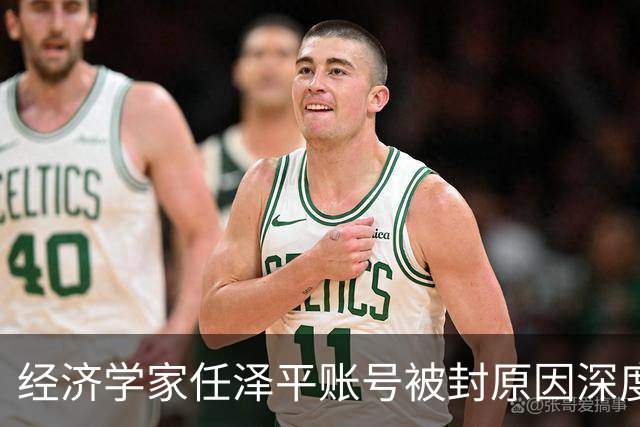 经济学家任泽平账号被封原因深度分析