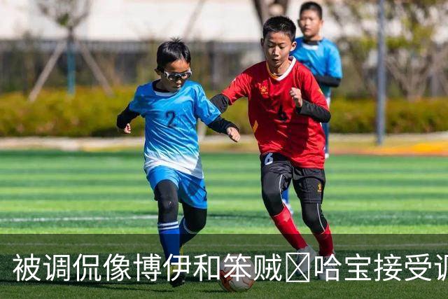 被调侃像博伊和笨贼🤣哈宝接受调侃：一旦接受这个设定😂