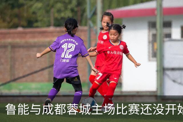 鲁能与成都蓉城主场比赛还没开始踢，这位王牌队长就决定提前结束本赛季征程