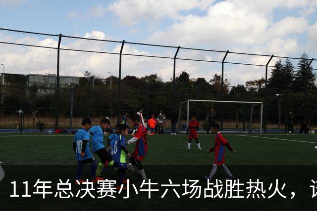 11年总决赛小牛六场战胜热火，诺维茨基场均26+10，热火三巨头数据如何？